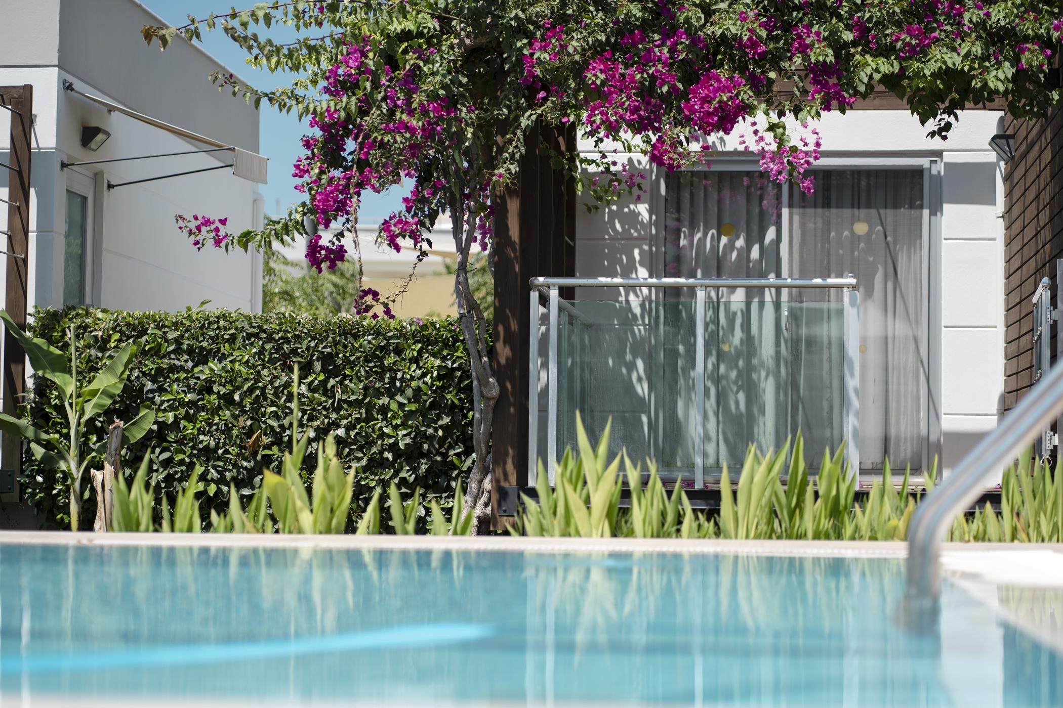 Hotel Garden 3*